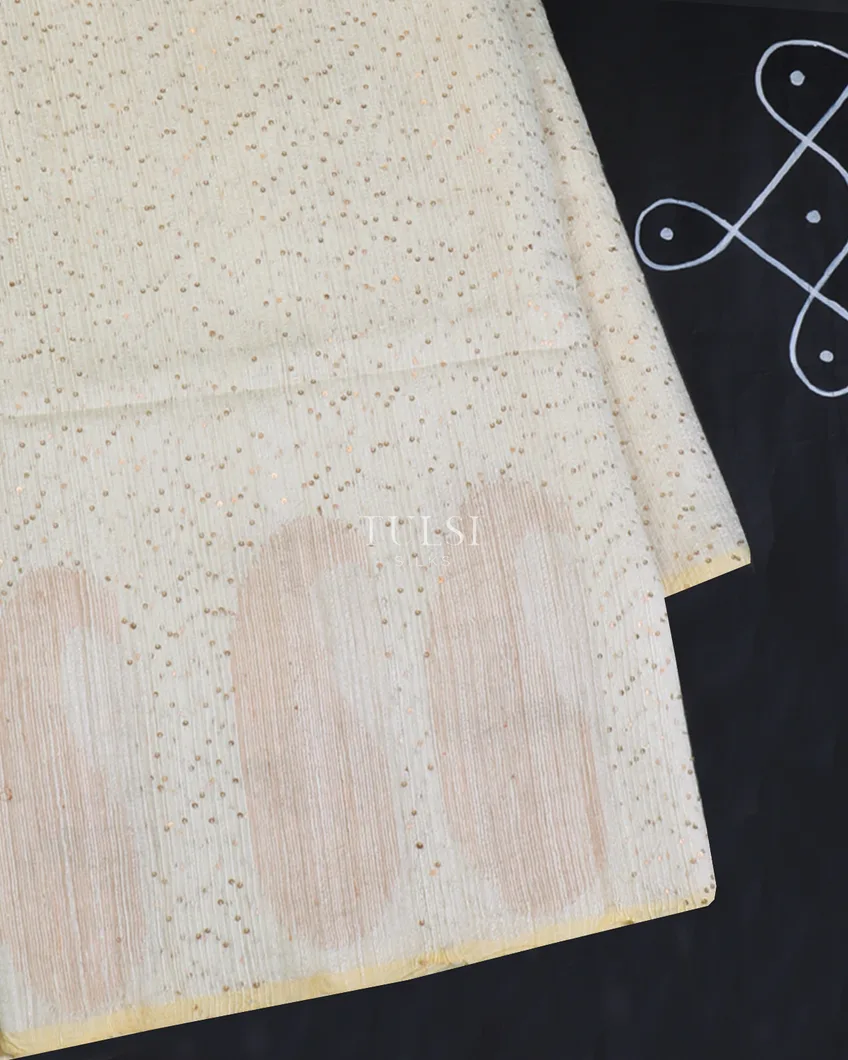 Off - White Handwoven Matka Tussar Saree T512396-image