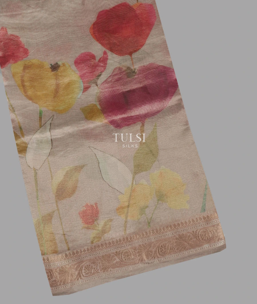 Grey Tissue Banaras Cotton Saree T636859-image