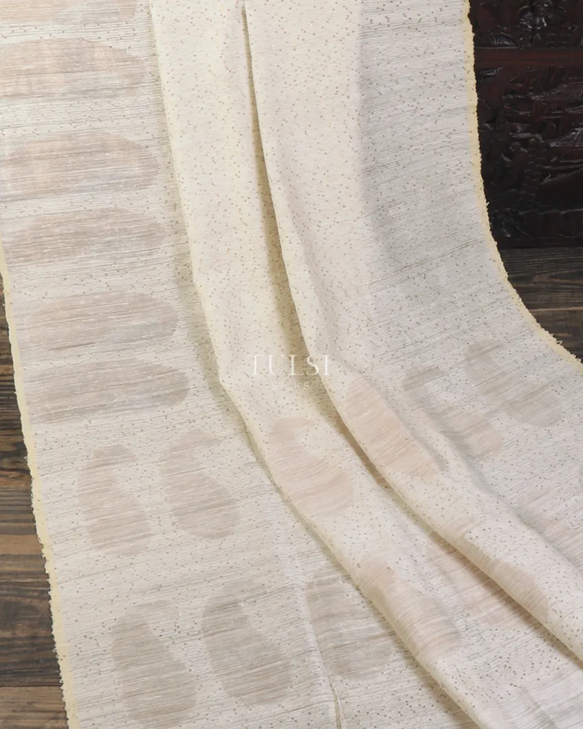 off-white-handwoven-tussar-saree-t512396-t512396-e