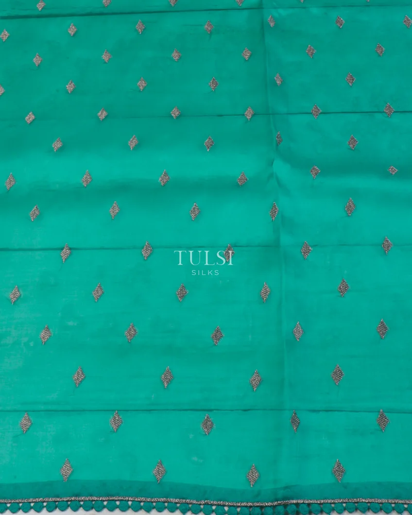 greenish-blue-kora-organza-embroidery-saree-t642189-t642189-c