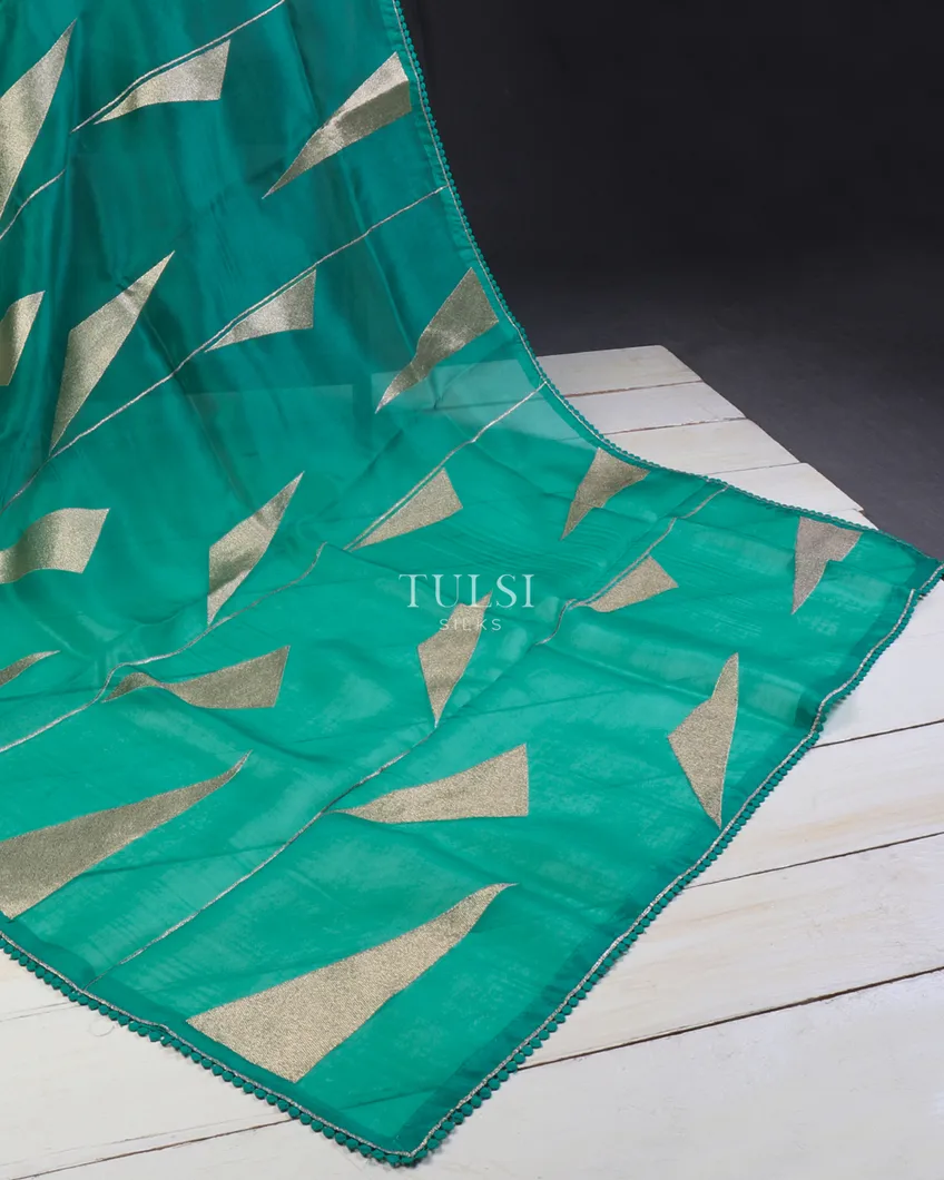greenish-blue-kora-organza-embroidery-saree-t642189-t642189-e