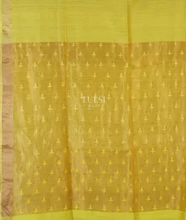 greenish-yellow-handwoven-tussar-saree-t639360-t639360-d