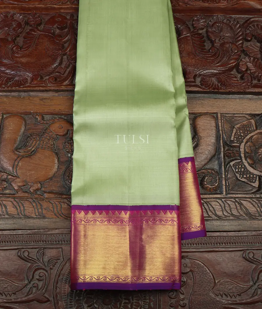 Light Green Kanjivaram Silk Saree T642658-image