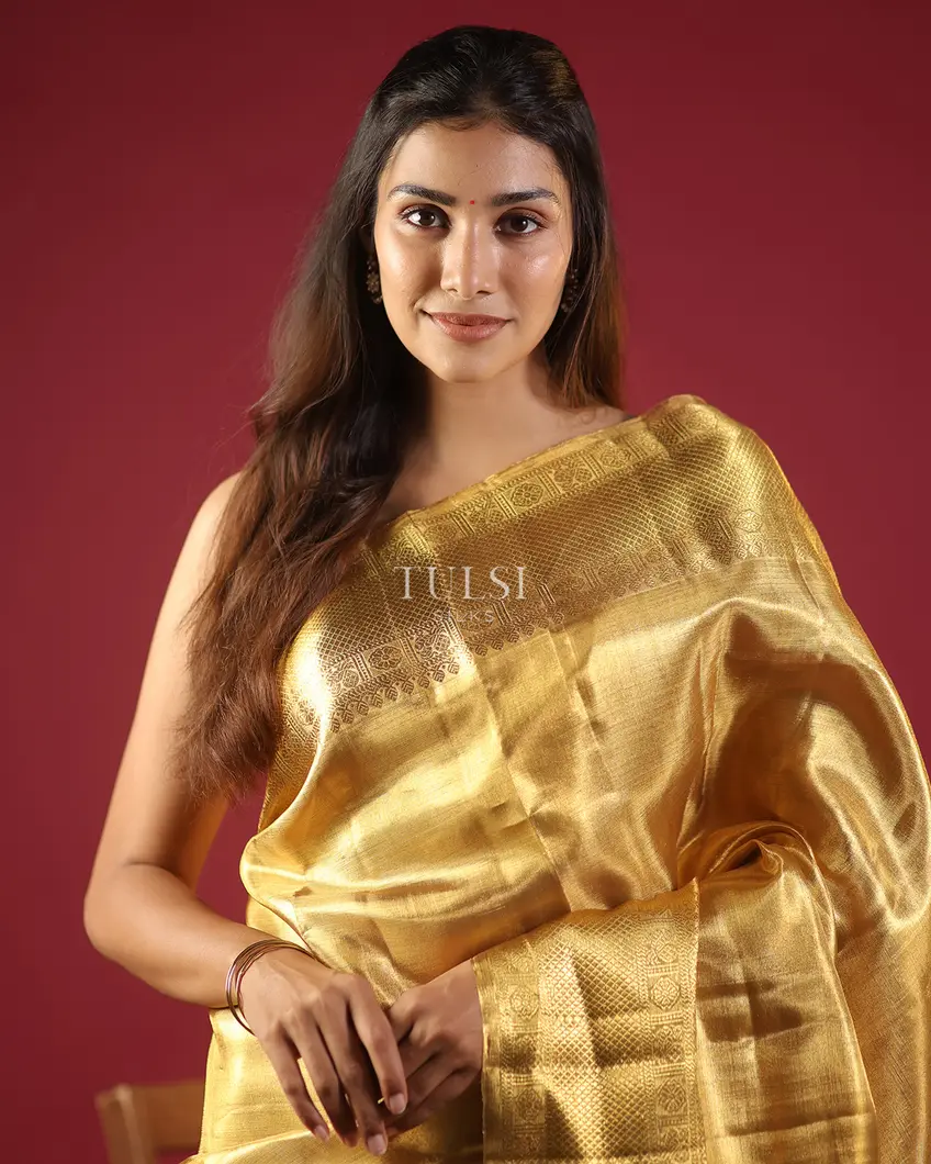Gold Tissue Kanjivaram Silk Saree T638381-image