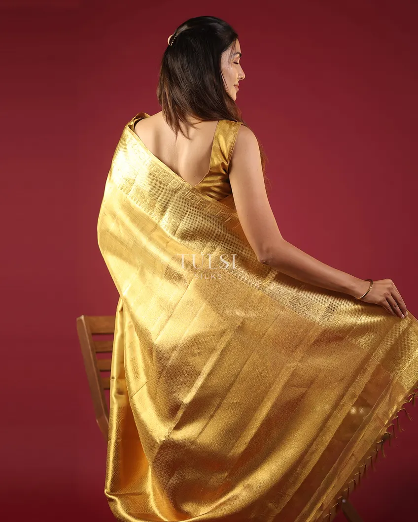 gold-tissue-kanjivaram-silk-saree-t638381-t638381-h