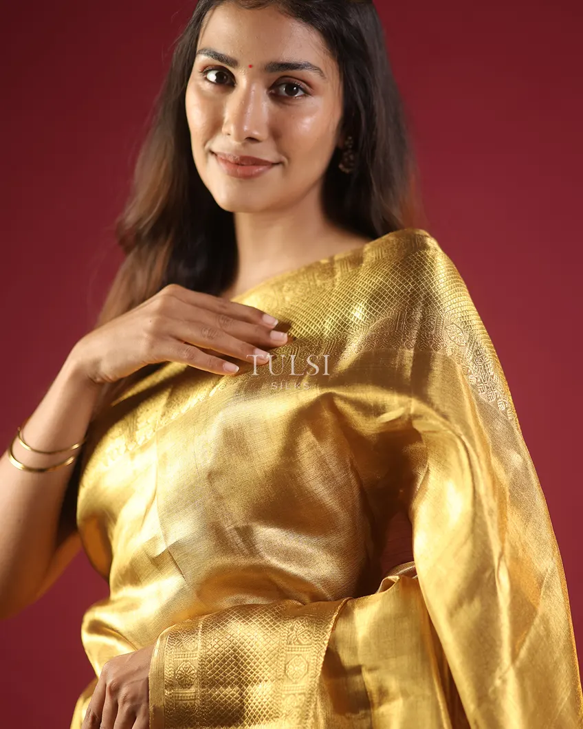 gold-tissue-kanjivaram-silk-saree-t638381-t638381-l