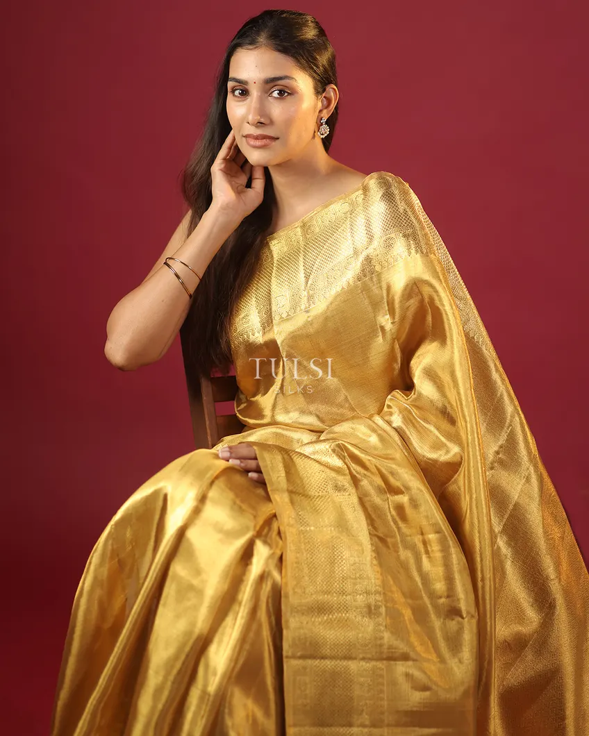gold-tissue-kanjivaram-silk-saree-t638381-t638381-n