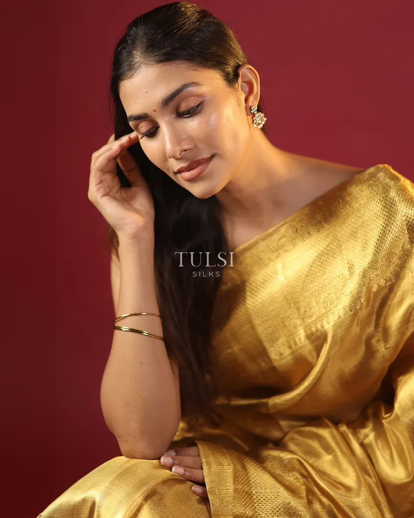 gold-tissue-kanjivaram-silk-saree-t638381-t638381-q