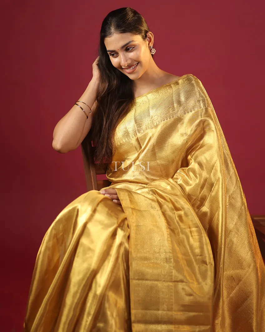 gold-tissue-kanjivaram-silk-saree-t638381-t638381-r