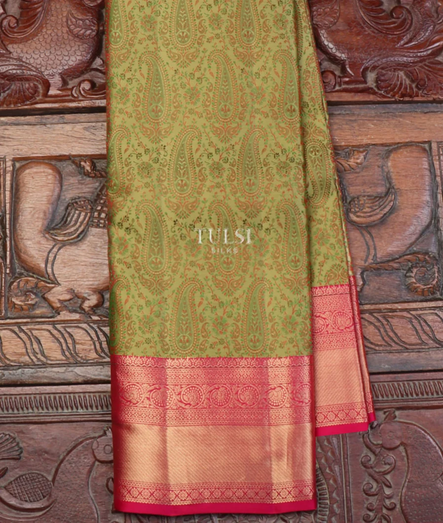 Greenish Beige Soft Silk Saree T626892-image