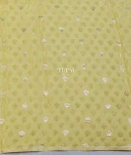 greenish-yellow-chiffon-embroidery-silk-saree-t644016-t644016-c