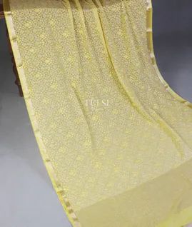 greenish-yellow-chiffon-embroidery-silk-saree-t644016-t644016-d