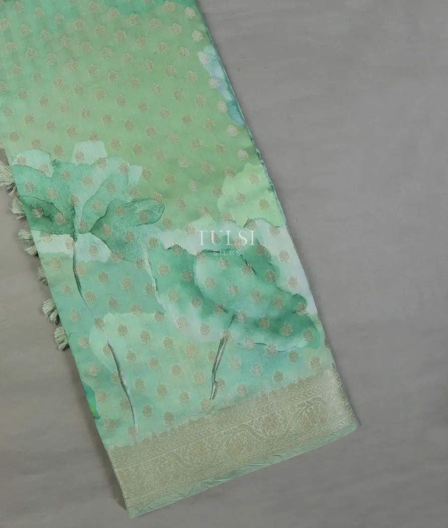 Green and Blue Chaniya Silk Saree T616900-image