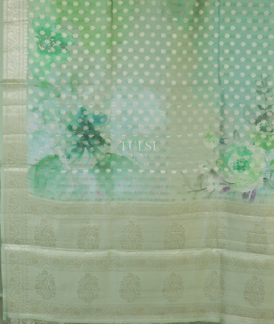 green-and-blue-chaniya-silk-saree-t616900-t616900-d