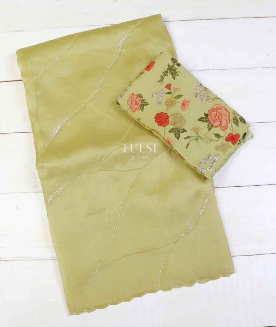 Pale Green Kora Organza Embroidery Saree T631081-image