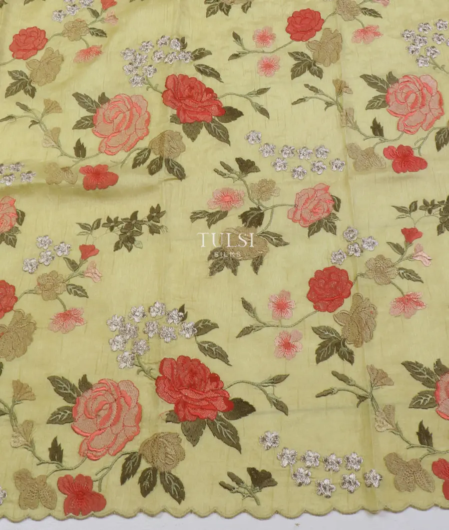 pale-green-kora-organza-embroidery-saree-t631081-t631081-c