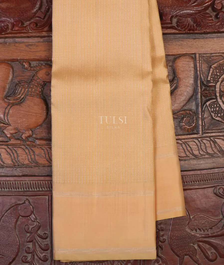 Beige Kanjivaram Silk Saree T642621-image