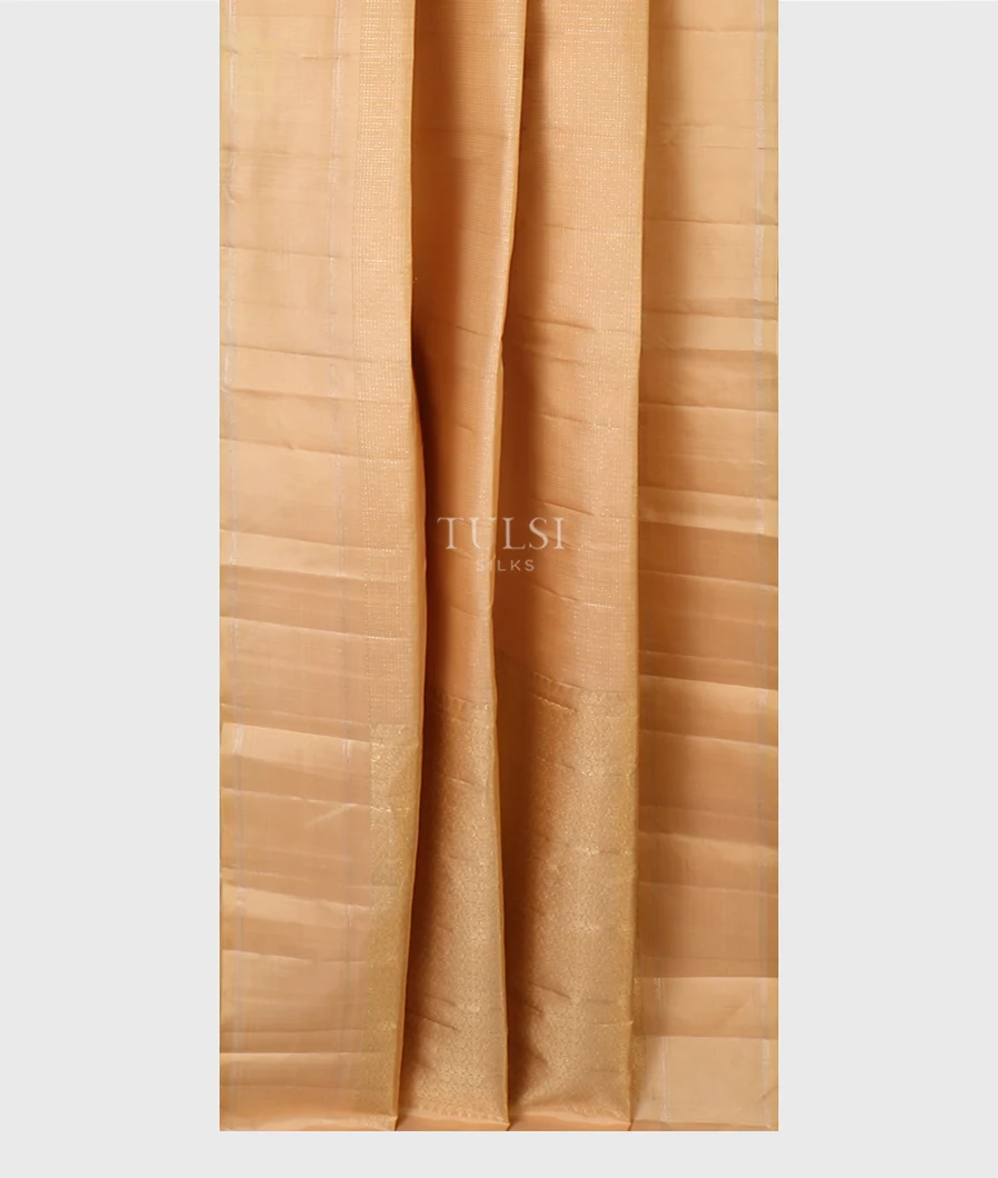 beige-kanjivaram-silk-saree-t642621-t642621-b