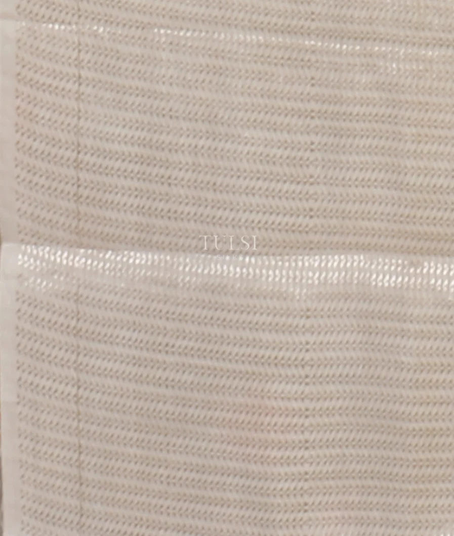 grey-kora-crushed-tissue-organza-embroidery-saree-t641831-t641831-c