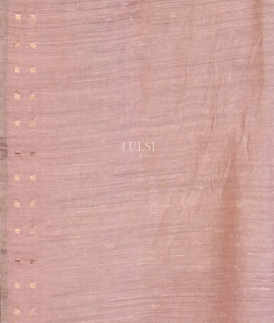 pink-tissue-organza-printed-saree-t614973-t614973-c