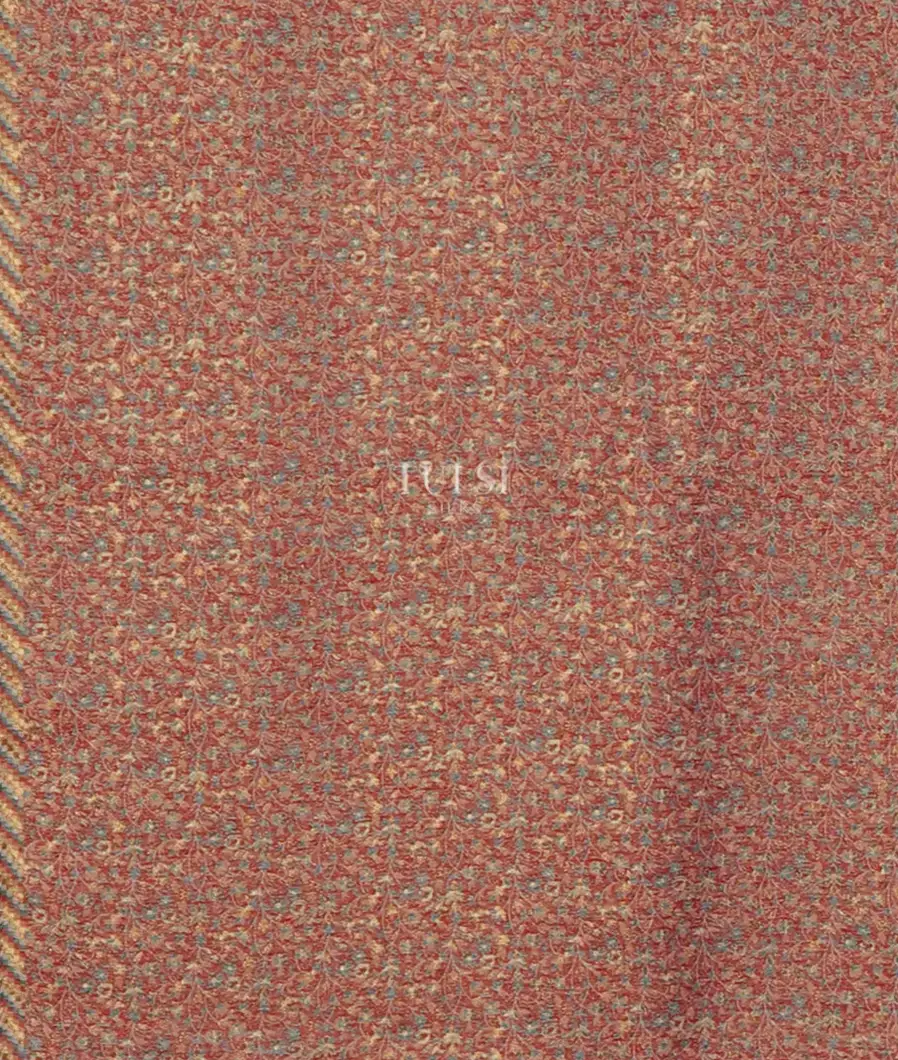 beige-kashmir-kani-silk-saree-t646858-t646858-c