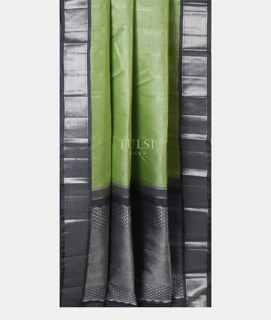 green-kanjivaram-silk-saree-t646332-t646332-b