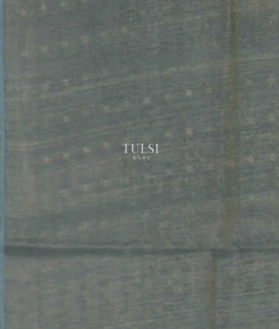 bluish-grey-tissue-organza-printed-saree-t608574-t608574-c