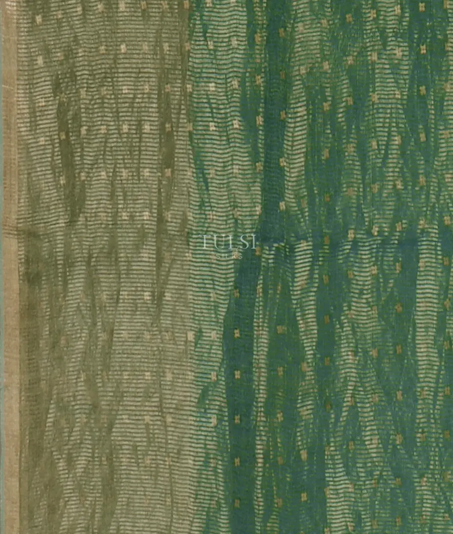 green-tissue-organza-printed-saree-t646486-t646486-c