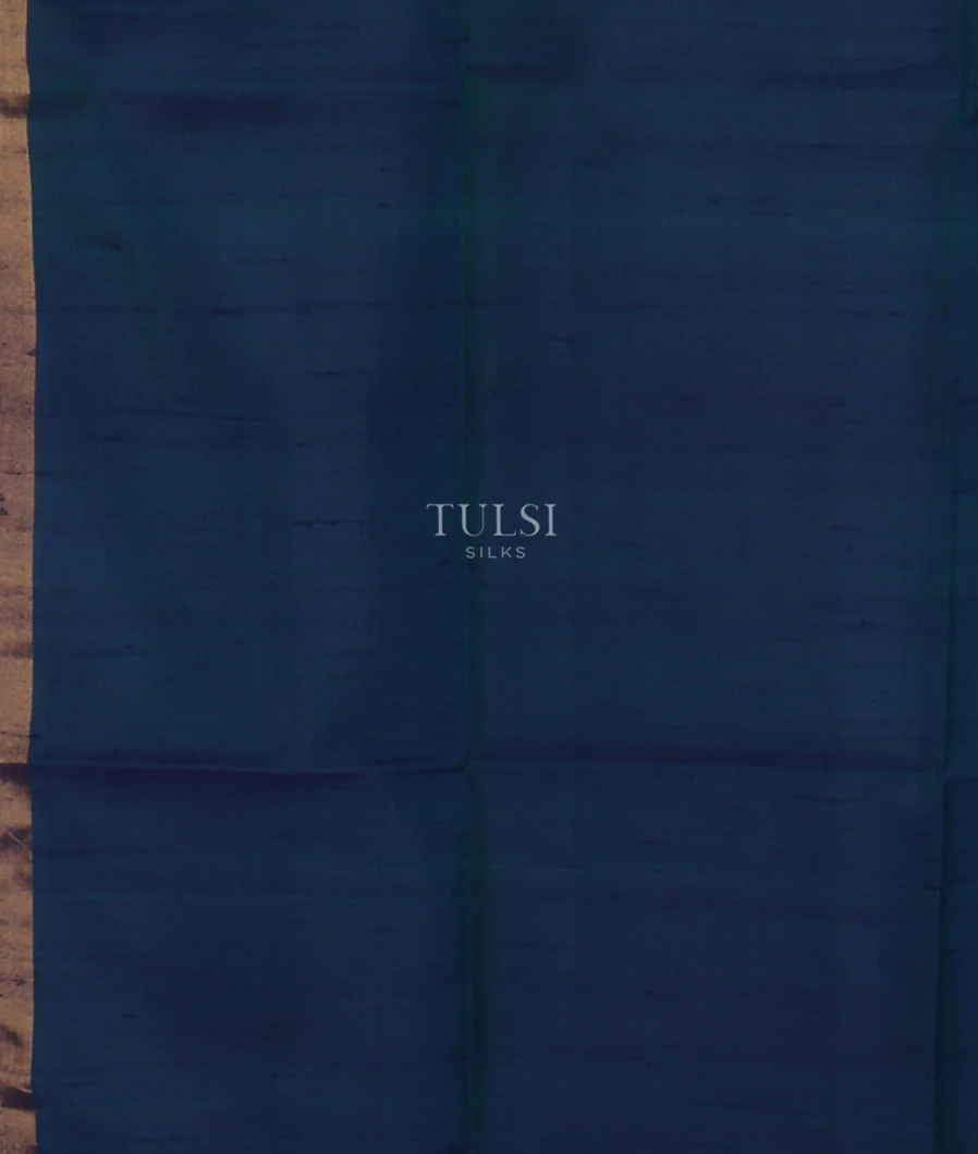 green-woven-raw-silk-saree-t646984-t646984-c