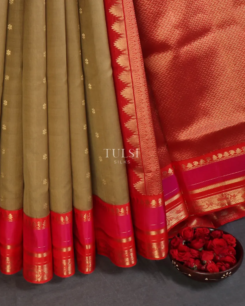 beige-soft-silk-saree-t648562-t648562-e