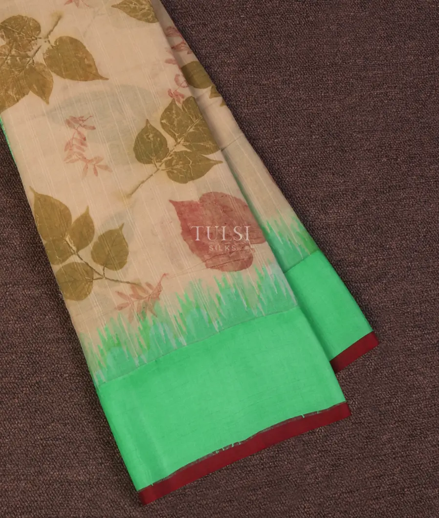Beige Gadwal Cotton Saree With Silk Border and Pallu T632087-image