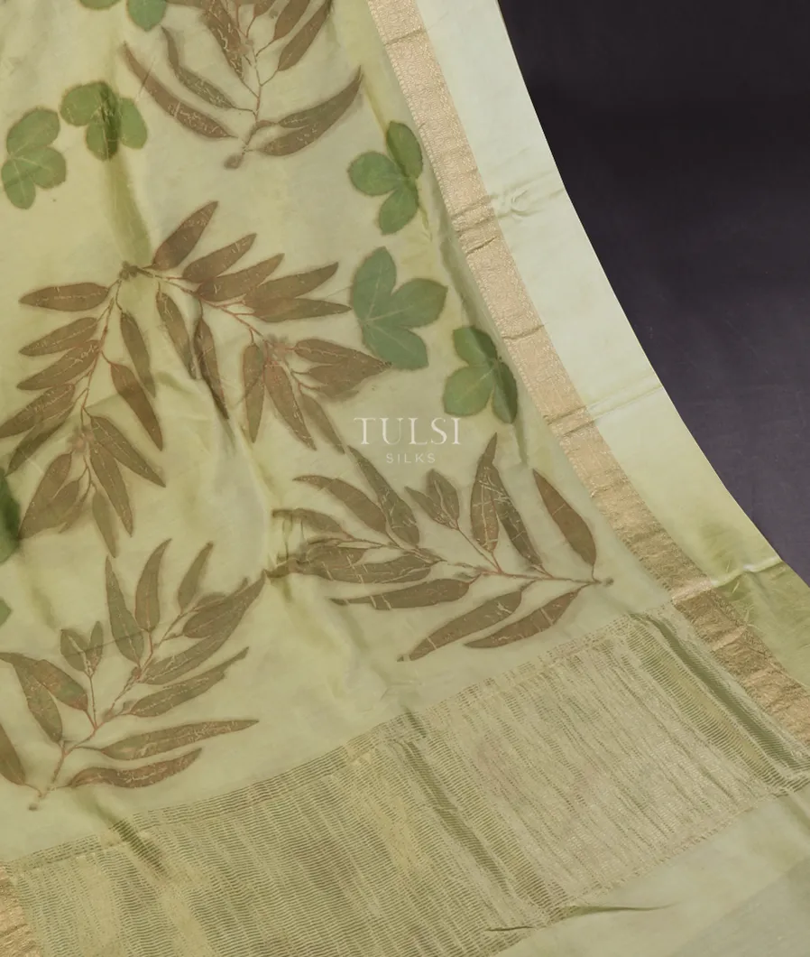 light-green-banaras-kathan-silk-saree-t649770-t649770-d