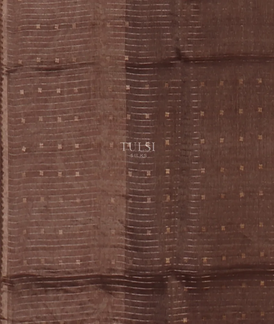 dark-brown-tissue-organza-printed-saree-t646496-t646496-c