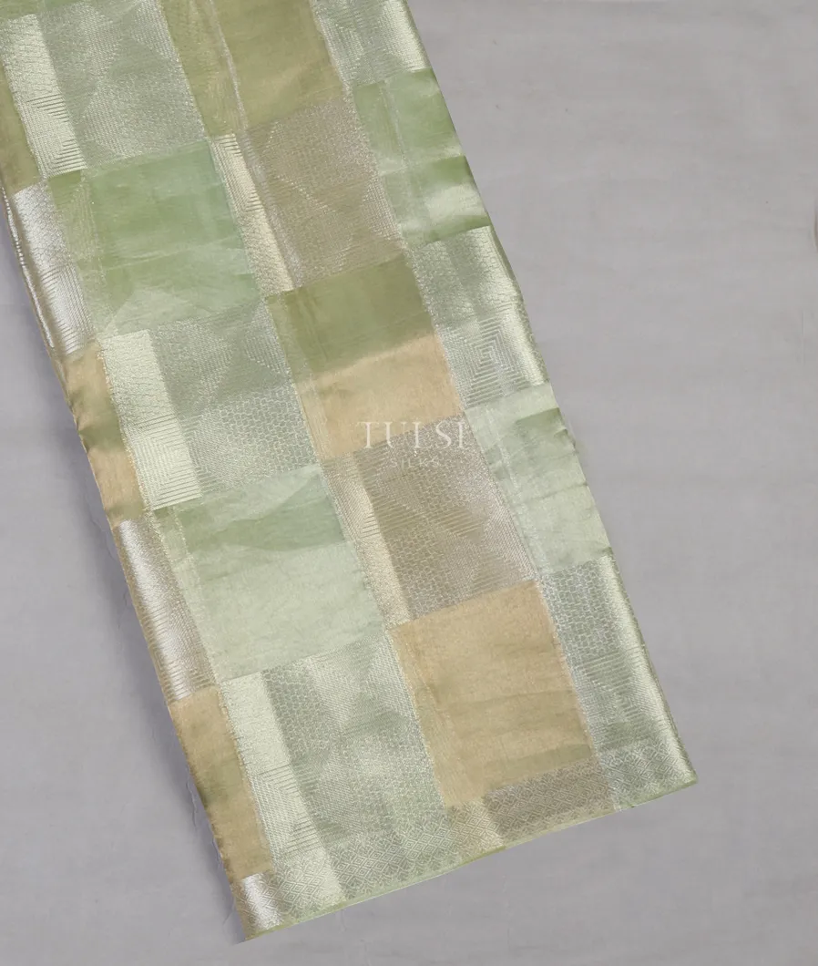 Light Green Banaras Tissue Organza Saree T653796-image