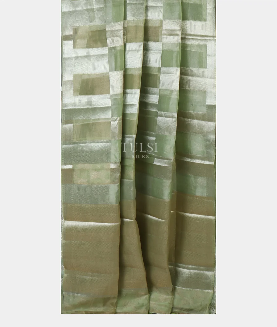 light-green-banaras-tissue-organza-saree-t653796-t653796-b