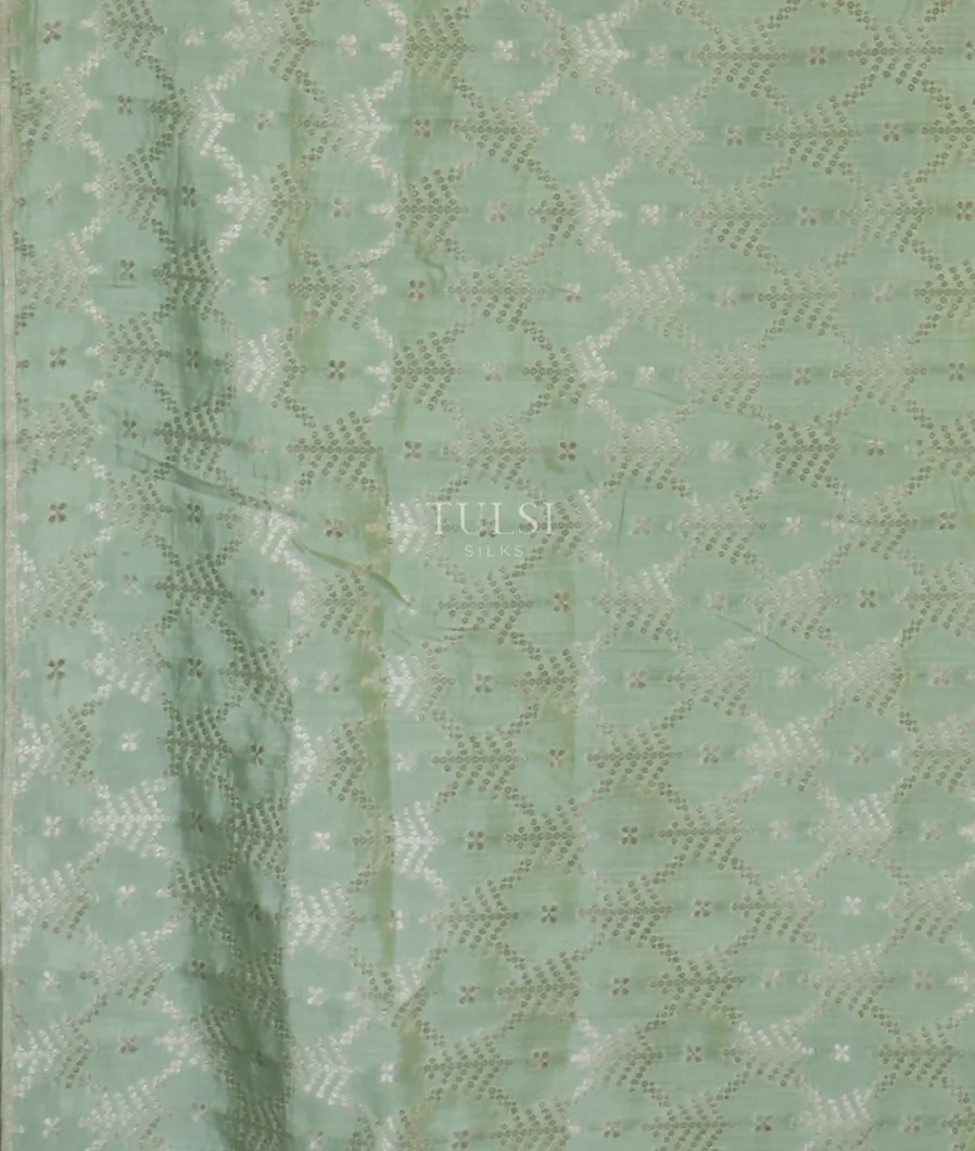 light-green-banaras-tissue-organza-saree-t653796-t653796-c