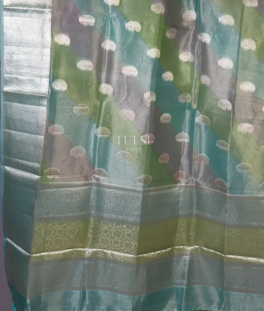 multicolour-banaras-tissue-organza-saree-t648214-t648214-d