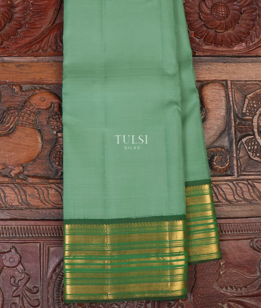 Greenish Blue Kanjivaram Silk Saree T657773-image