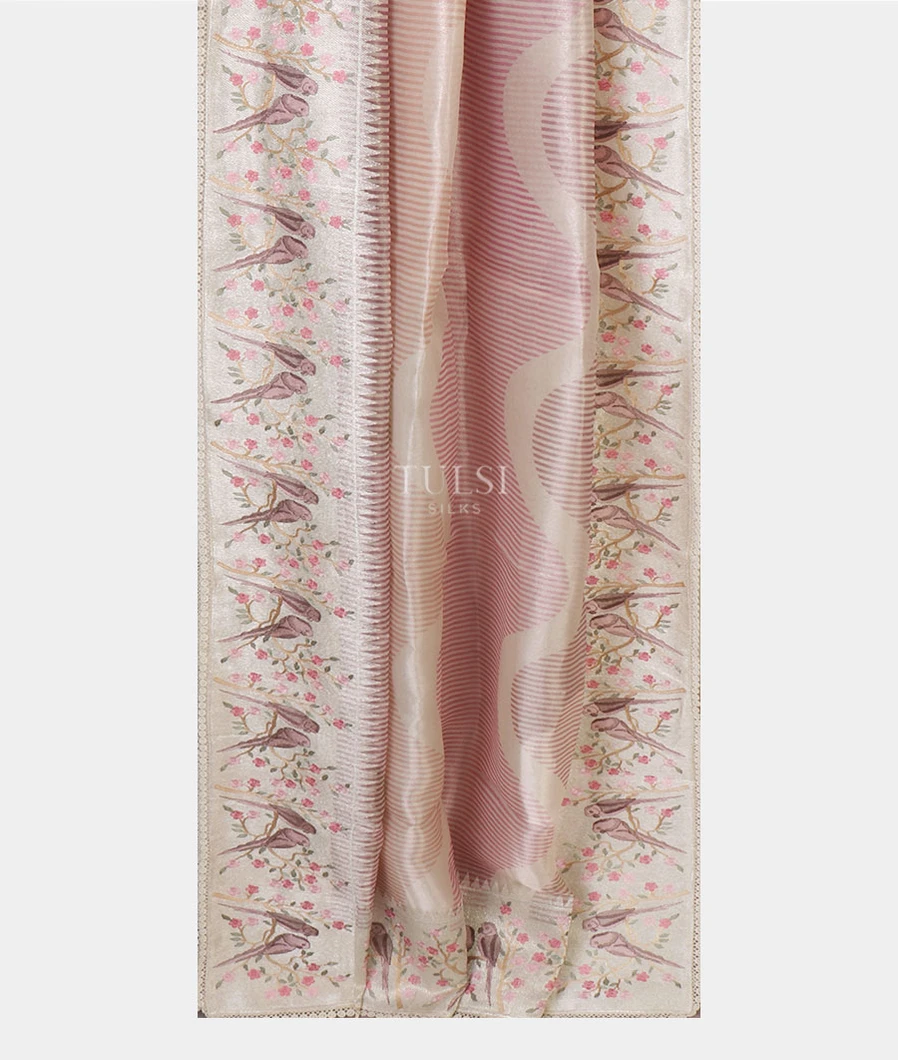 grey-kora-tissue-organza-embroidery-saree-t655270-t655270-b