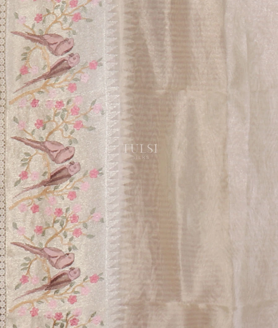 grey-kora-tissue-organza-embroidery-saree-t655270-t655270-c