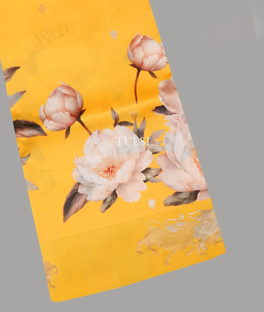 Yellow Banaras Kathan Silk Saree T658092-image