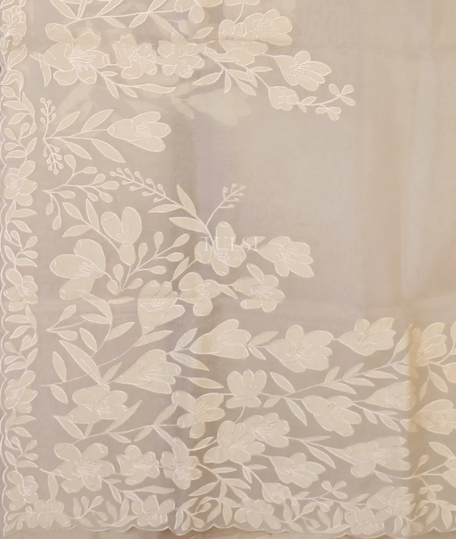 off-white-kora-organza-embroidery-saree-t653889-t653889-d