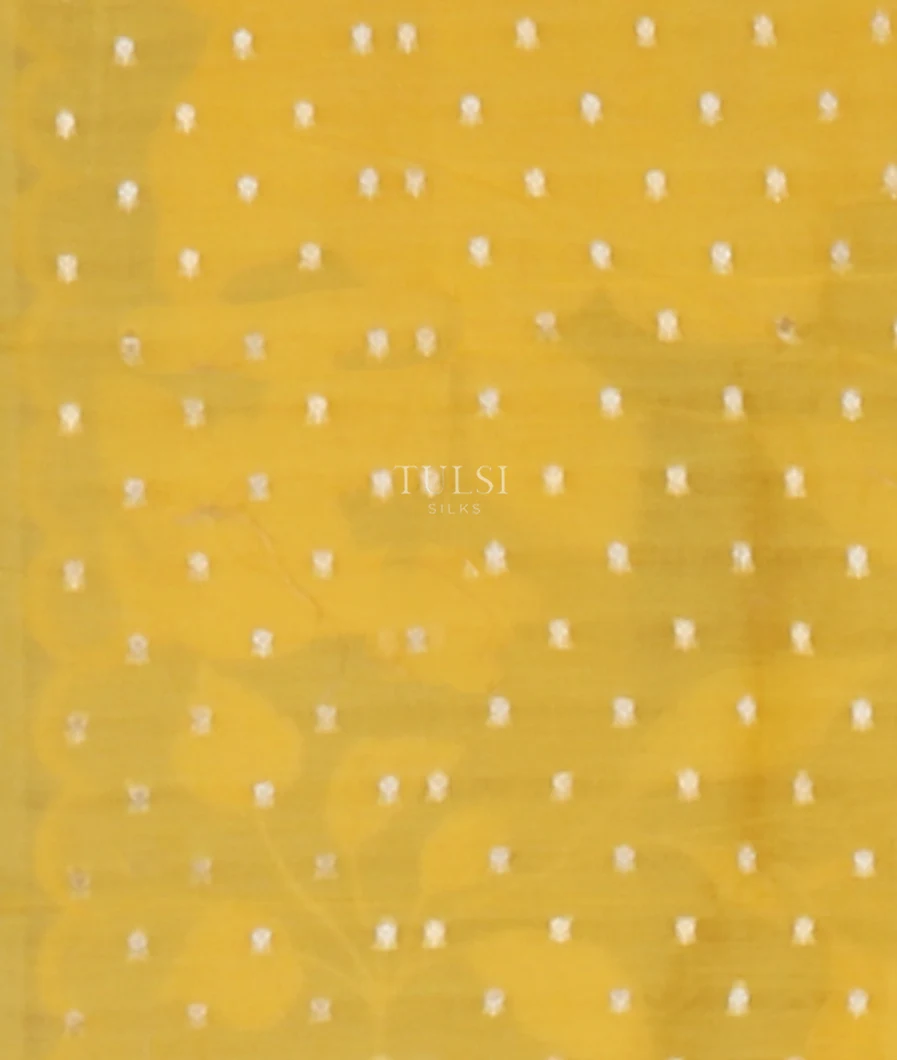 yellow-kora-organza-embroidery-saree-t653881-t653881-c