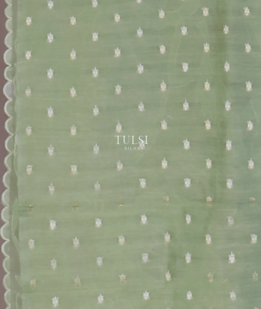 green-kora-organza-embroidery-saree-t653870-t653870-c