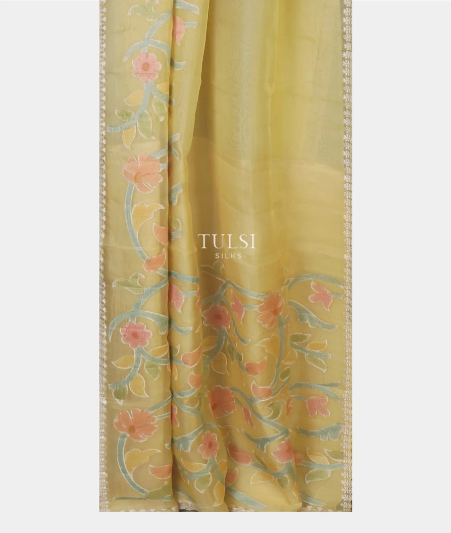 pale-yellow-kora-organza-embroidery-saree-t653582-t653582-b