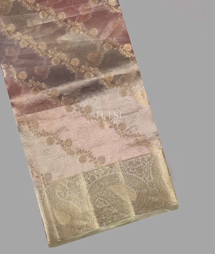 Multicolour Banaras Tissue Organza Saree T644693-image