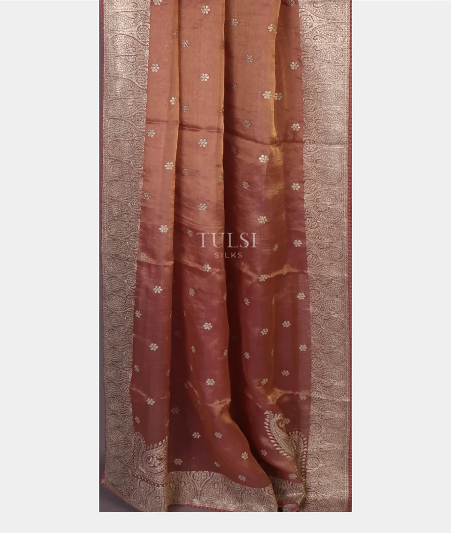 salmon-pink-tissue-organza-embroidery-saree-t658146-t658146-b