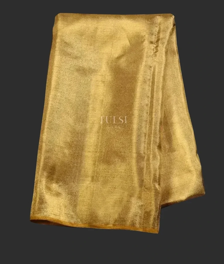Gold Kanjivaram Silk Tissue Blouse T595511-image