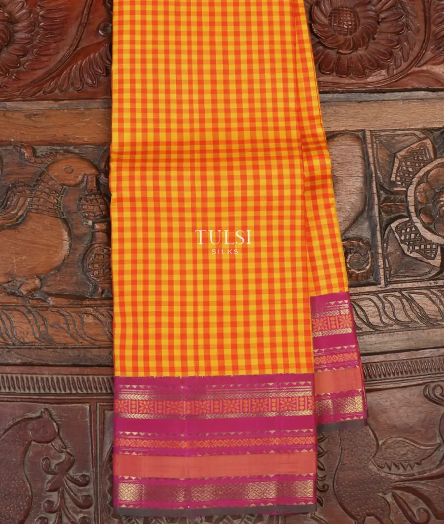 Multicolour Kanjivaram Silk Saree T602019-image