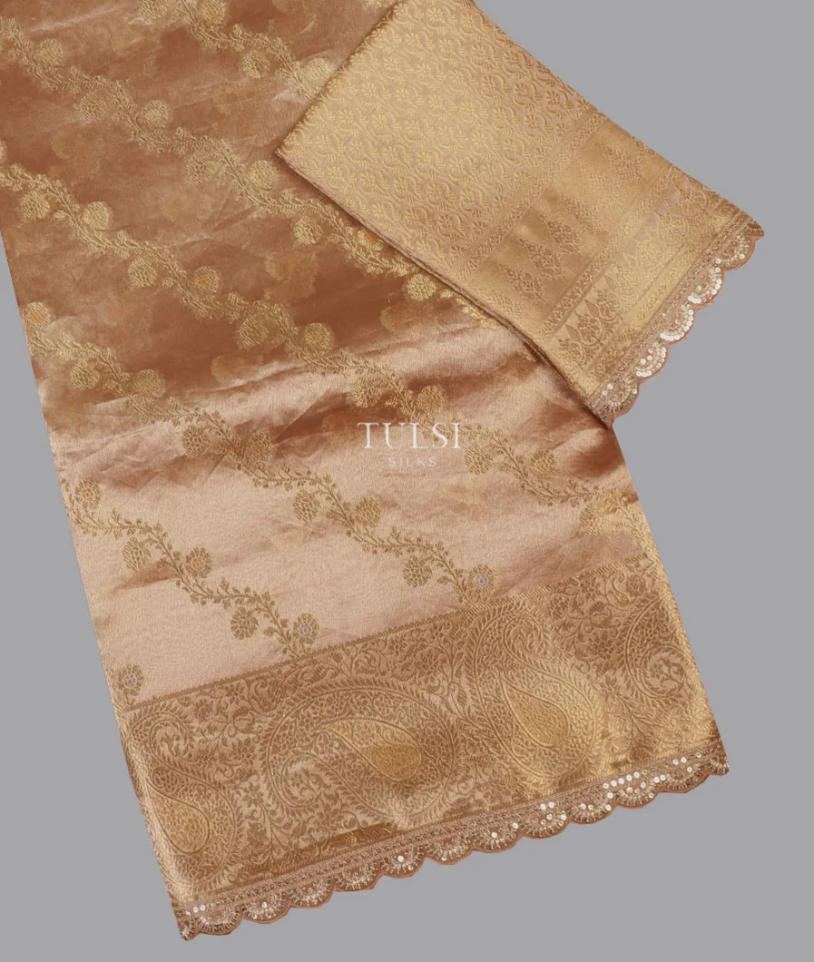 Light Brown Kora Tissue Organza Embroidery Saree T658144-image